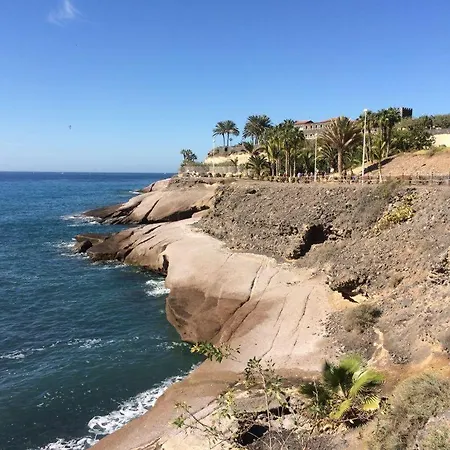 公寓 Lilly Playa De Americas