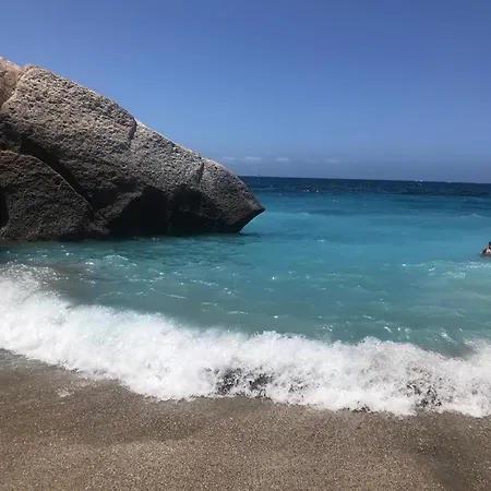 Lilly Playa De Americas 公寓 阿德耶